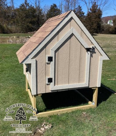 4x4 Chicken Coop with smart siding and pressure-treated legs