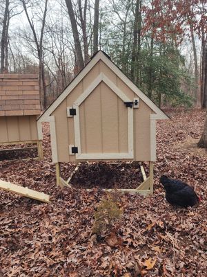 4x4 Chicken Coop with smart siding and pressure-treated legs