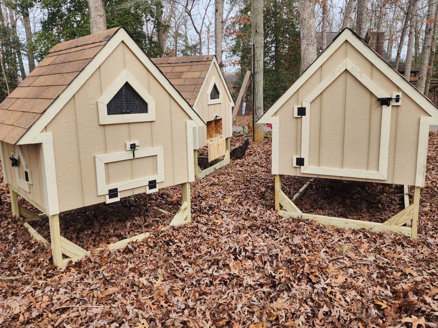 4x4 Chicken Coop with smart siding and pressure-treated legs