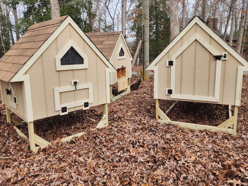 4x4 Chicken Coop with smart siding and pressure-treated legs