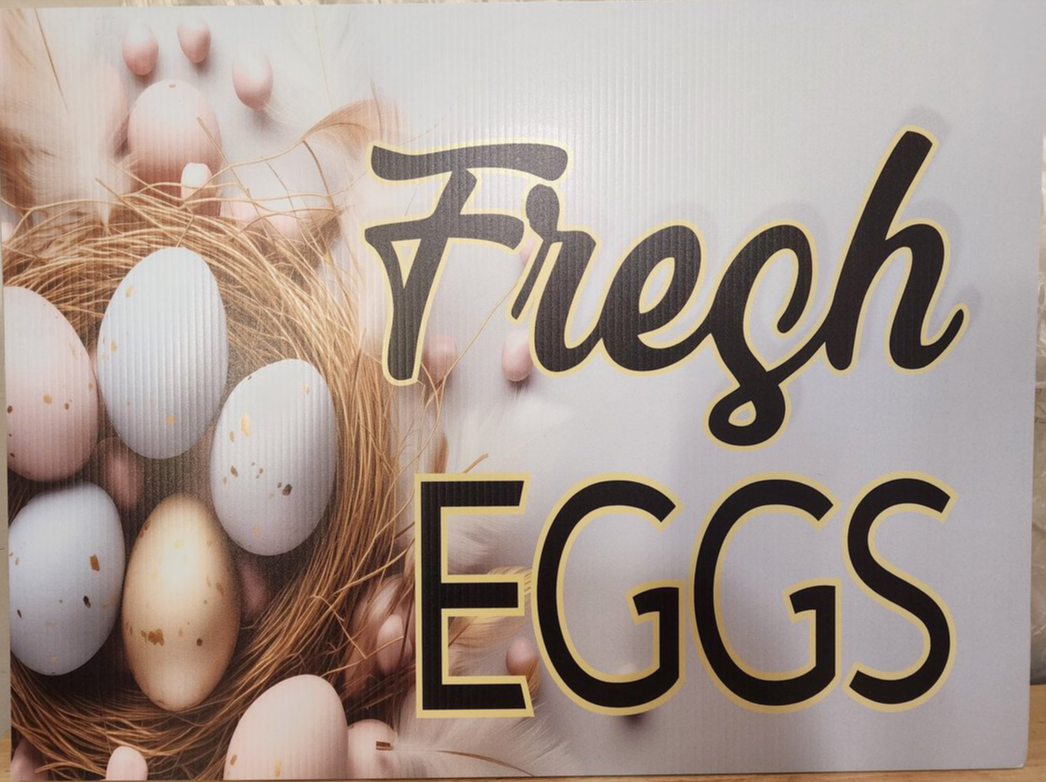 Fresh Eggs with pretty speckled eggs in a nest YARD SIGN