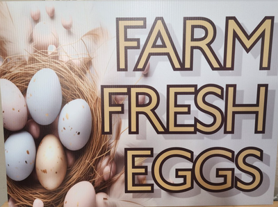 Farm Fresh Eggs with pretty speckled eggs in a nest YARD SIGN