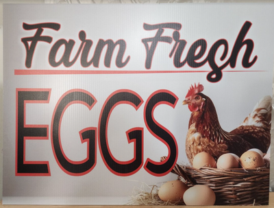 Farm Fresh Eggs with a chicken on her nest YARD SIGN
