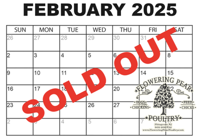 February 2025