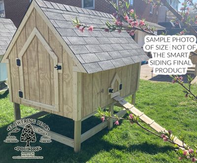 4x6 Chicken Coop with smart siding and pressure-treated legs