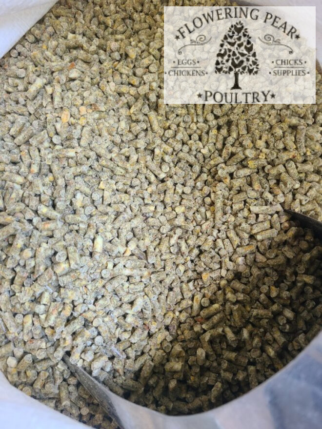 NON GMO Flowering Pear Poultry SPECIAL BLEND recipe SUMMER blend LAYER Feed 17% protein Pellets