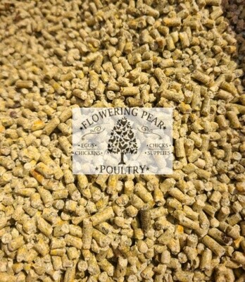 NON GMO Flowering Pear Poultry SPECIAL BLEND recipe WINTER blend LAYER Feed 19% protein Pellets