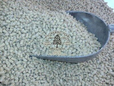 Duck Grower feed 16% Protein Pellet