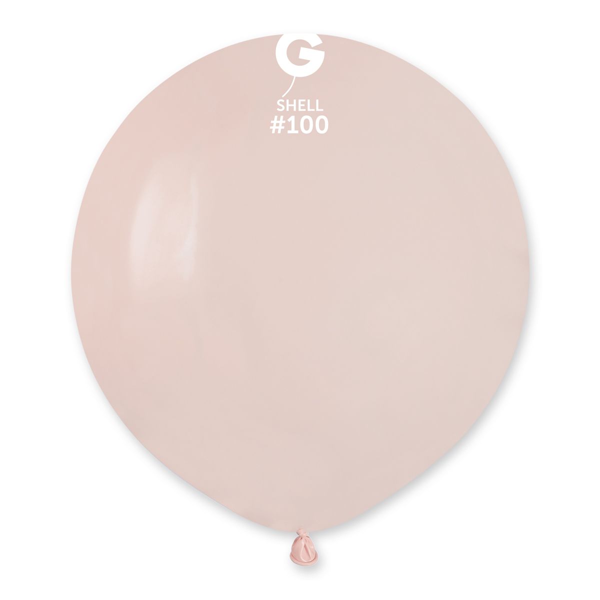 #100 Shell 1002050 Standard Color 19 in 25pcs Gemar Balloons
