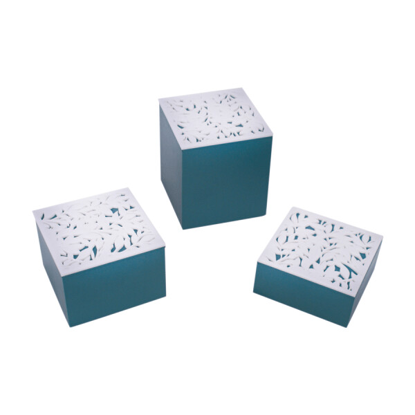 CAJA  MULTIUSOS