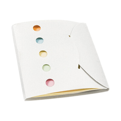 SET DE NOTAS ADHESIVAS 6 TIP FUNDA PLAST