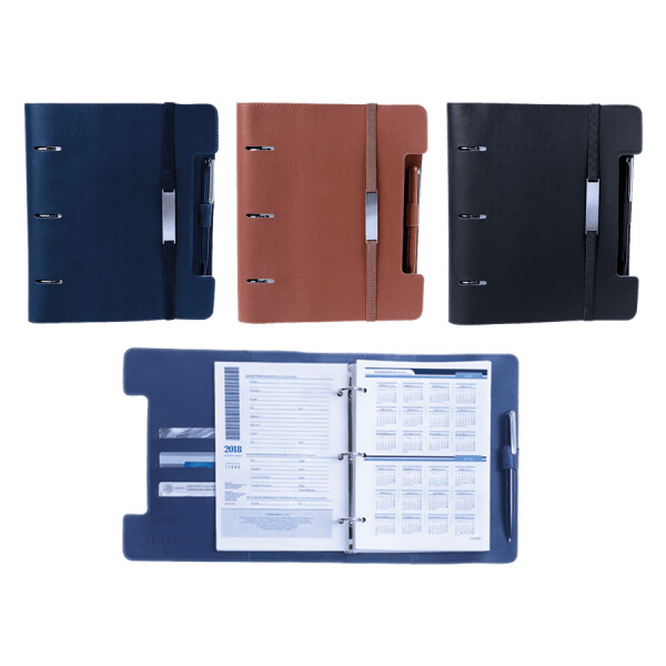 AGENDA DIARIA CADIER
