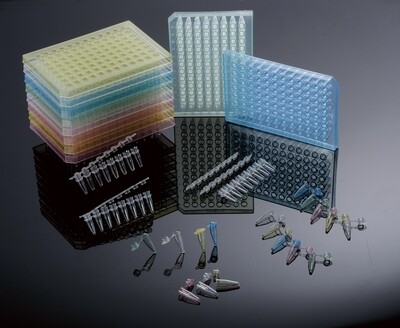 PCR Products