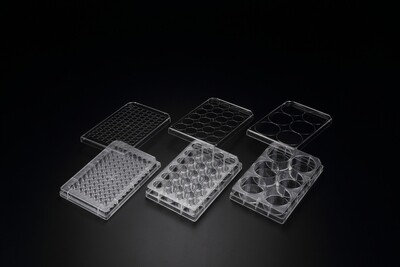 [COMING SOON] SPL 3D Cell Floater Plate, PS, 6-well/24-well/96-well