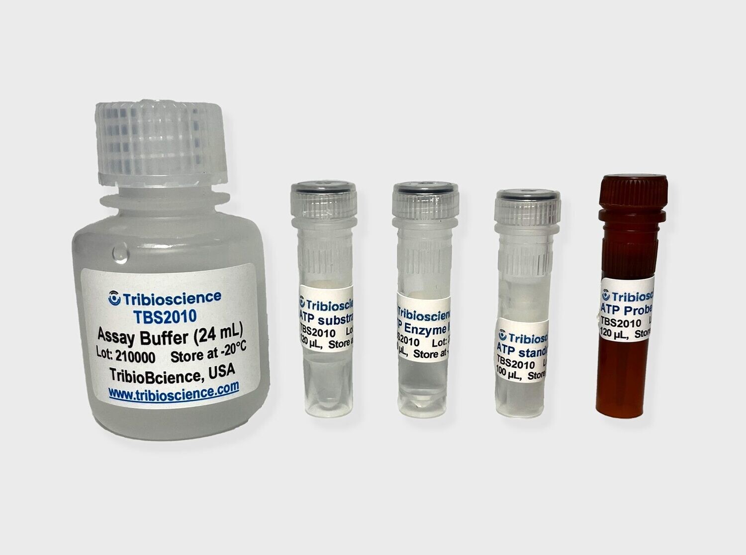 ATP Colorimetric/Fluorometric Assay Kit