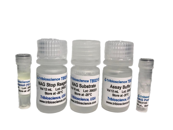 β-Hexosaminidase Activity Assay, 100 Tests