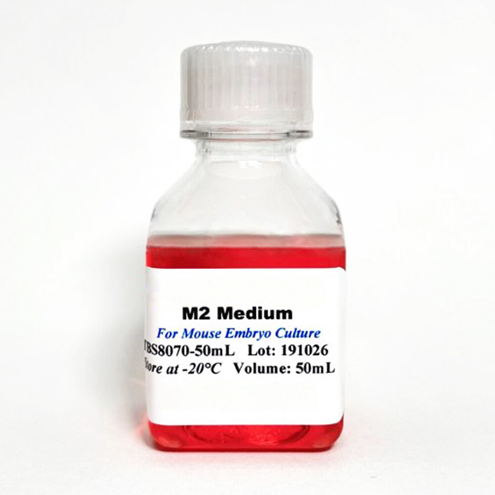 M2 Mouse Embryo Medium
