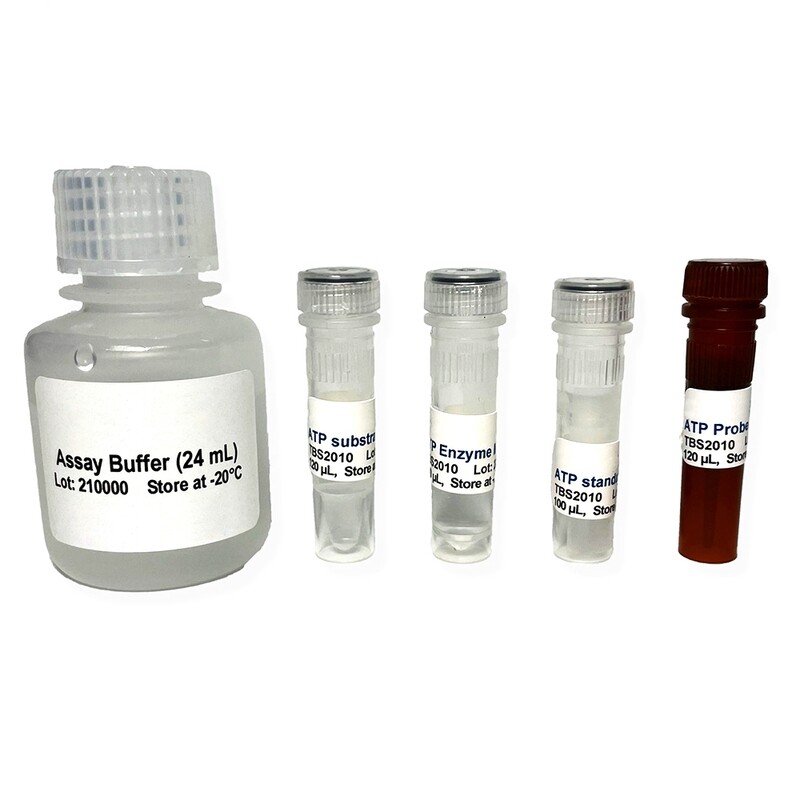 ATP Colorimetric/Fluorometric Assay Kit