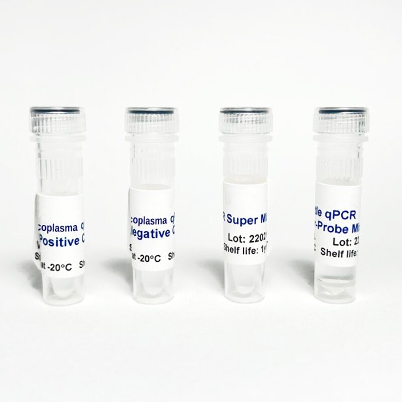 Mycoplasma Detection qPCR, 100 Tests