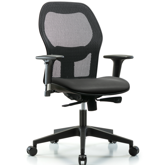 Executive Windova Mesh Back Chair with Standard Adjustable Arms, Carbon Supernova™ Seat, & Casters