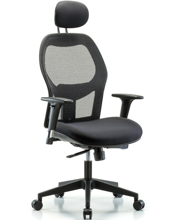 Executive Windrowe Mesh Back Chair with Head Rest, Standard Adjustable Arms, & Casters