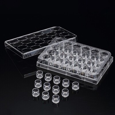 Insert™ Standing, 12 Cell Culture Inserts+ 24 well plate, PET Membrance, 0.4/3/8 μm, Transparent, Sterile, 12 Inserts/Pack, 48 Inserts/Case