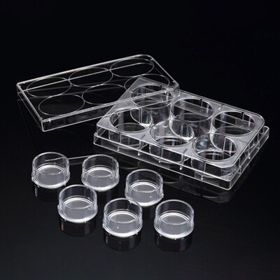Insert™ Standing, 6 Cell Culture Inserts+ 6 well plate, PET Membrance, 0.4/3/8 μm, Transparent, Sterile, 6 Inserts/Pack, 24 Inserts/Case