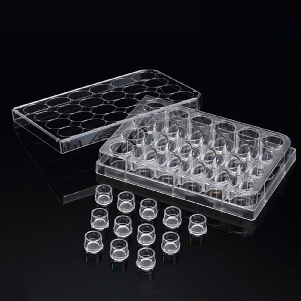 3D Cell Culture Plate Insert™ Standing, 6 Cell Culture Inserts+ 6 well plate, PC Membrance, 8μm, Transparent, Sterile