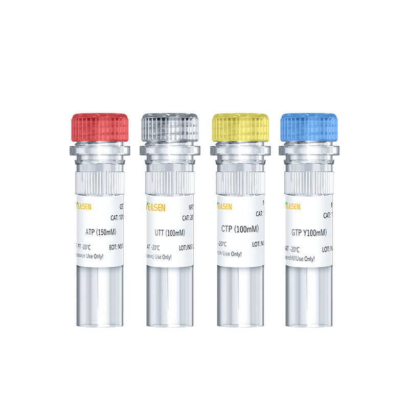 NTP Set Sodium Solution (ATP, CTP, UTP, GTP, 100 mM each）1 Set (4 vial)