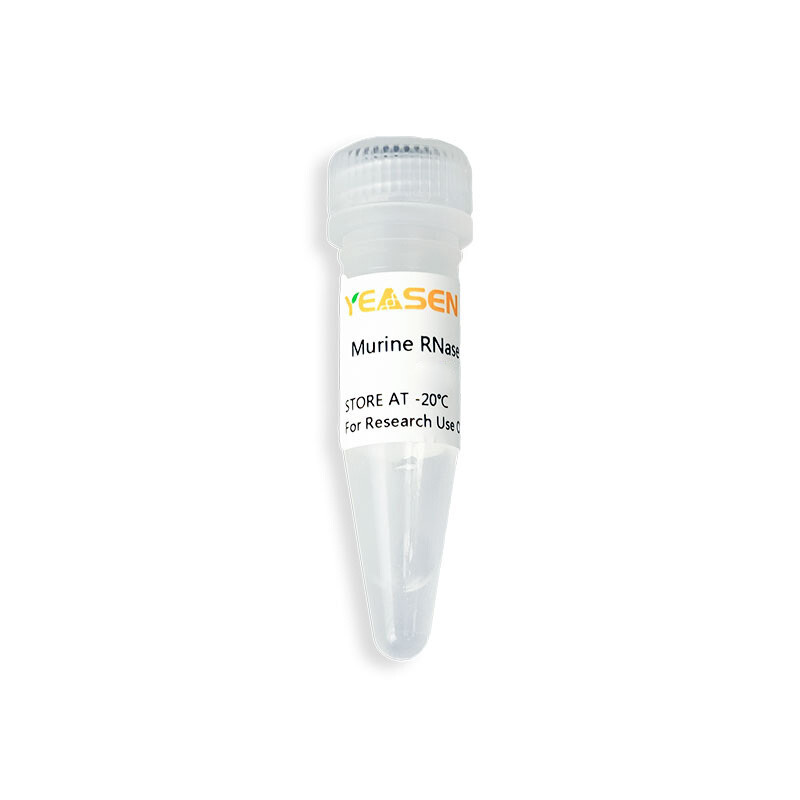 Murine RNase inhibitor (40 U/μ L) 2KU