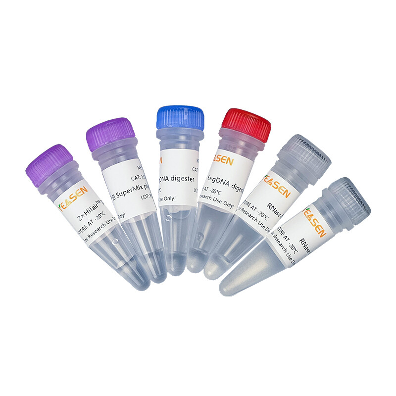 Biologix Ⅲ 1st Strand cDNA Synthesis SuperMix for qPCR (gDNA Digester Plus)