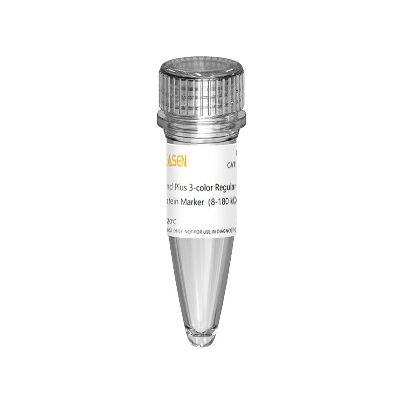 Plus 3-color Regular Range Protein Marker(8-180 kDa) 250 μL