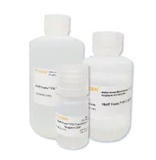 PEI Transfection Reagent 1.5 mL 10 mL 100 mL
