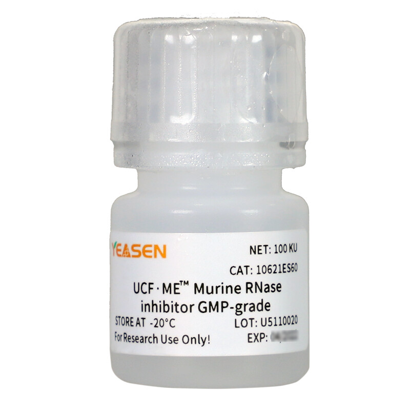 Murine RNase inhibitor GMP-grade (40 U/μL) 10KU