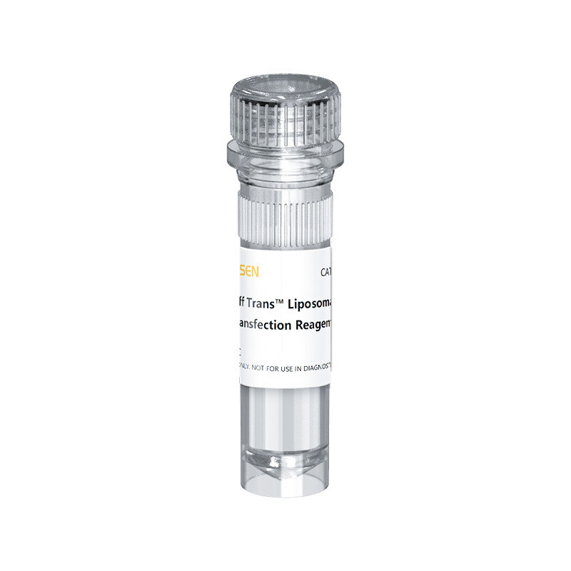 Hieff Trans™ Liposomal Transfection Reagent 1.0 mL