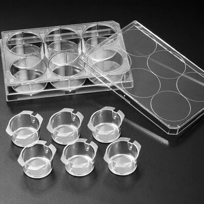 Biologix Insert™ Hanging, 6 Cell Culture Inserts+ 6 well plate, PC Membrance, 3/8μm, Transparent, Sterile, 6 Inserts/Pack, 24 Inserts/Case