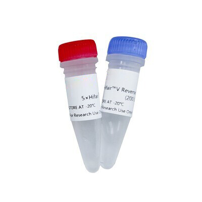 Hifair™ V Reverse Transcriptase 10,000U