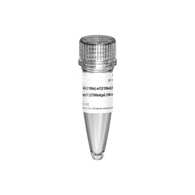 N1-Me-Pseudo UTP sodium solution GMP-grade (100 mM)