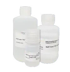 PEI Transfection Reagent 1.5 mL 10 mL 100 mL