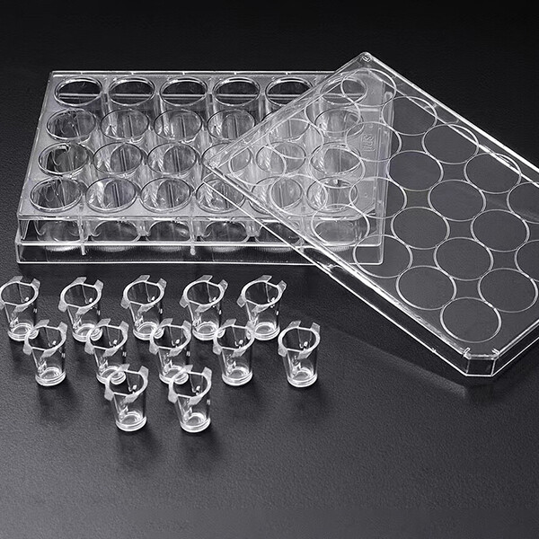 3D Cell Culture Plate Insert™ Hanging, PET, 0.4/3/8μm, Transparent, Sterile, 6 Pcs/PK, 24 Pcs/CS