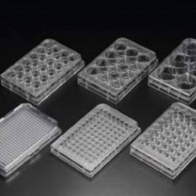 Cell Culture Plate, 6/ 12/48/ 96 wells, PS, Flat-Bottom, 1/Pack, 50/Case