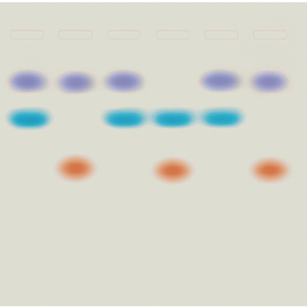 Whose DNA Was Left Behind?