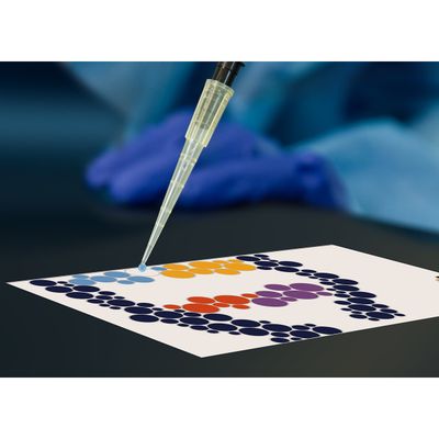 Pipetting By Numbers: STEAM Pipetting Practice