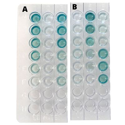 Quantitative ELISA