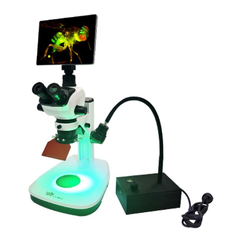 DK-300X Stereo Microscope Fluorescence Adapter, 1/Case (Not including the Microscope)