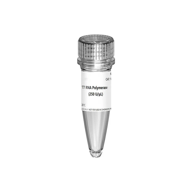 CleaScrip™ T7 RNA Polymerase (low dsRNA, 250 U/μL)