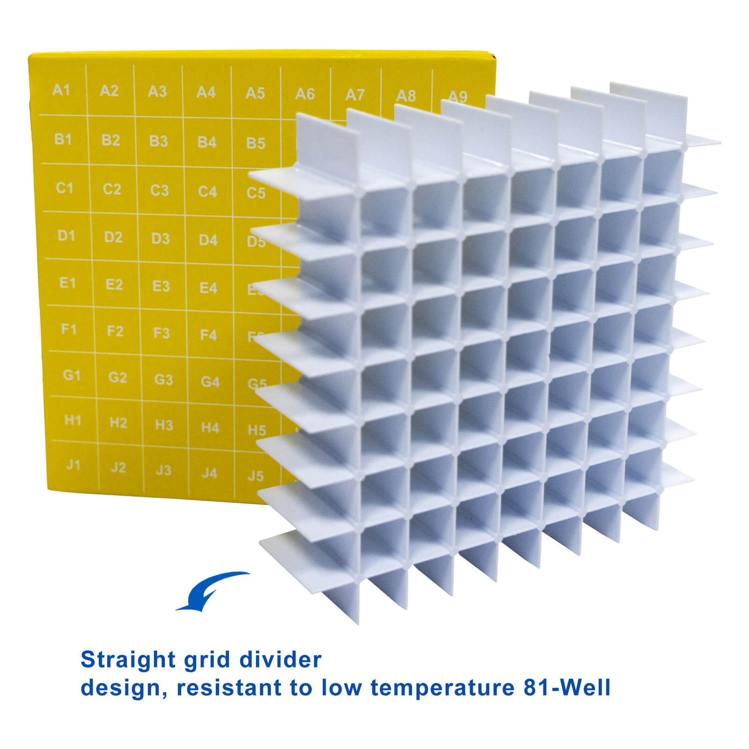 2In 81-Well ID-Color™ Cardboard Freezer Boxes | CryoKING®
