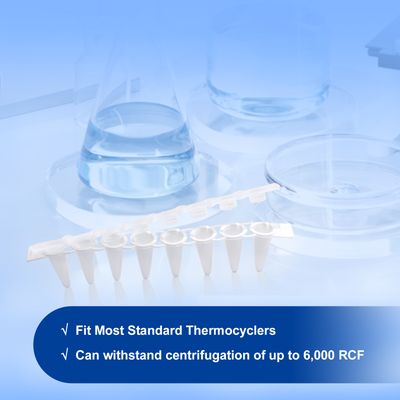 CNP】CNP 80% リキッド LIVELINE-MAC1- 1ml（0.1ml PCR 8-Strip