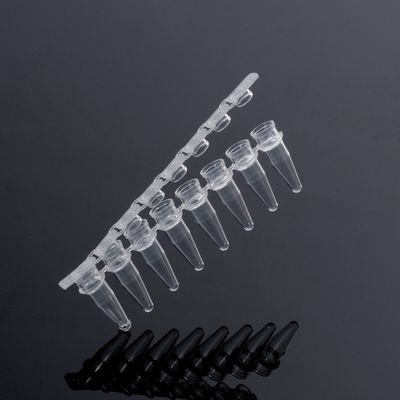8 Well PCR Tube Strip