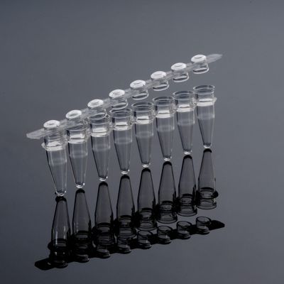 PCR Tubes